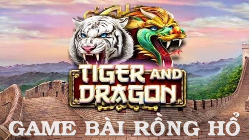 Bài Rồng Hổ Online: Từ A Đến Z Cho Người Mới Bắt Đầu